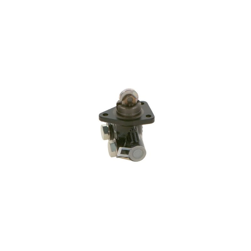 Bosch Fuel Pump Assembly