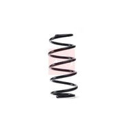 Apec Front Suspension Coil Spring ACS1774