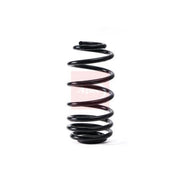 Apec Rear Suspension Coil Spring ACS1848
