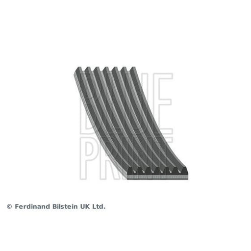 Blue Print Multi V-Ribbed Drive Belt AD07R1817