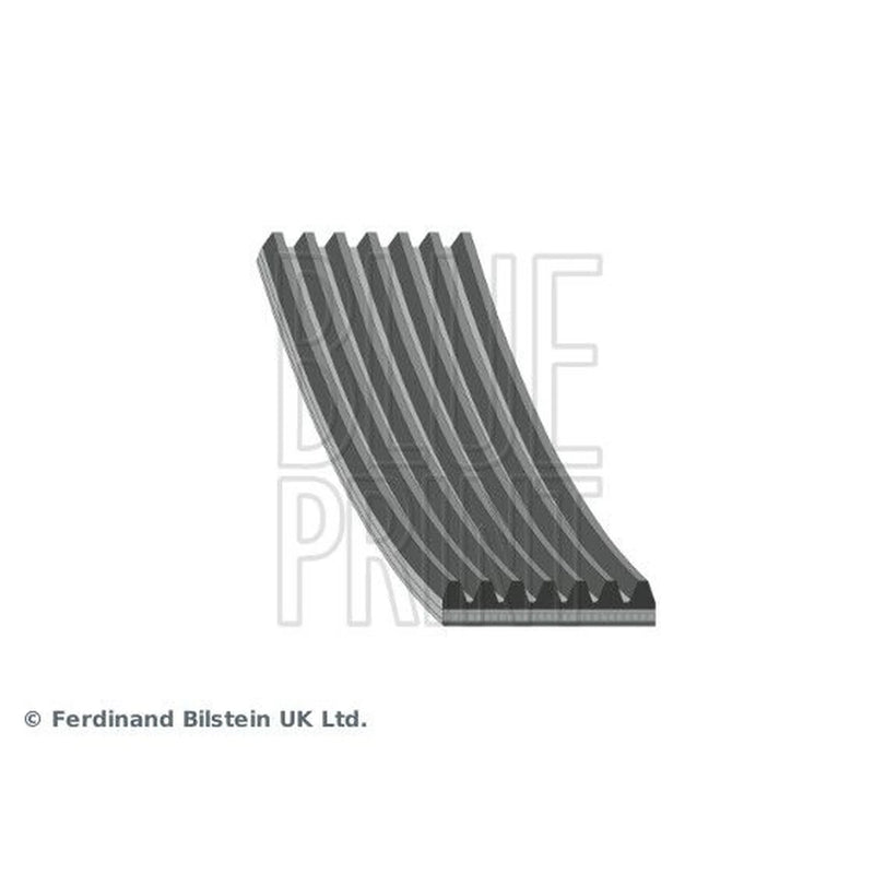 Blue Print Multi V-Ribbed Drive Belt AD07R1687