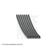 Blue Print Multi V-Ribbed Drive Belt AD07R1544
