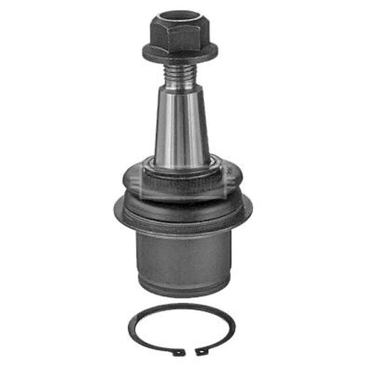 Borg & Beck Ball Joint Lower BBJ5602