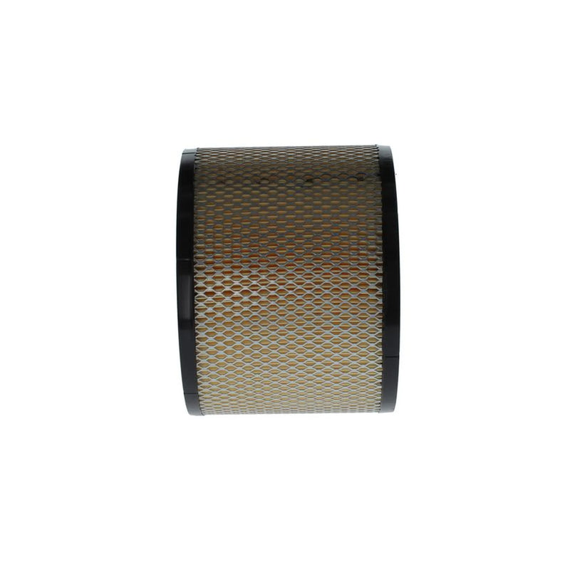 Bosch Engine Air Filter