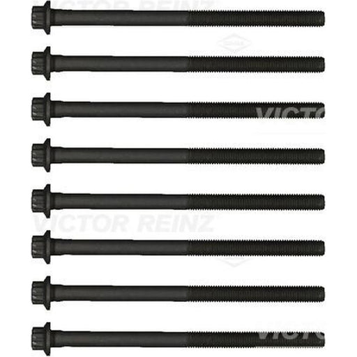 Victor Reinz Cylinder Head Bolt Set M11 14-32387-02