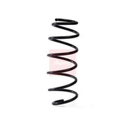 Apec Rear Suspension Coil Spring ACS1981
