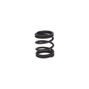 Bosch Compression Spring