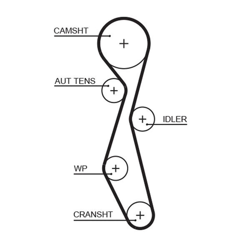 Gates Timing Belt Cambelt 118 Teeth fits Citroën C-Crosser 2007-2012 2.2
