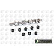 BGA Camshaft Kit Set With Bearings Intake Side CS9604K