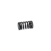 Bosch Compression Spring