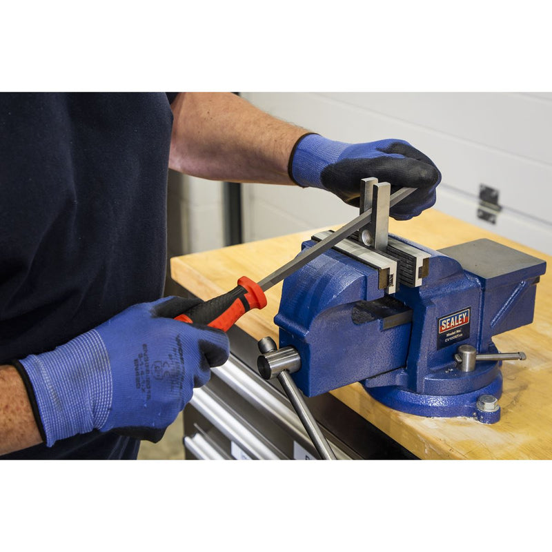 Sealey Premier Premier File & Rasp Set 8pc AK582 Sealey Premier - Dynamic Drive