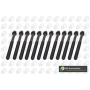BGA Cylinder Head Bolt Set M11 BK5915