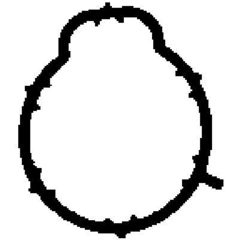 BGA Intake Manifold Gasket Thick fits Mercedes-Benz A-Class 1997-2004