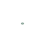Bosch Sealing Ring Gasket