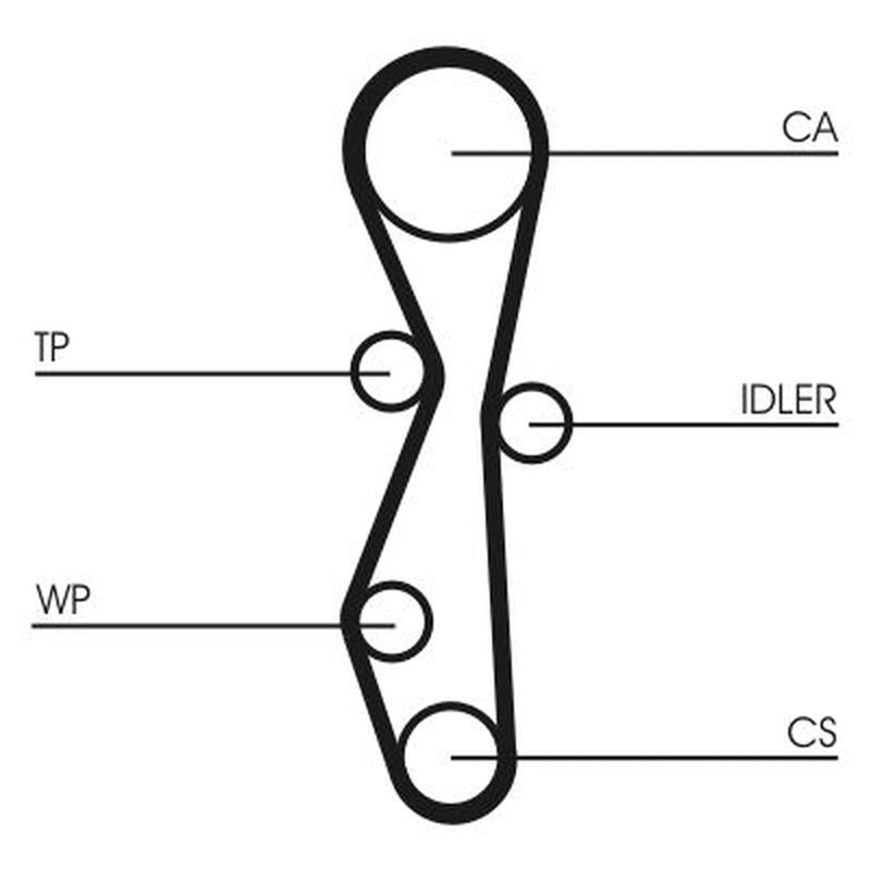 Continental CTAM Timing Belt Kit with Rollers fits Citroën C-Crosser 2007-2012