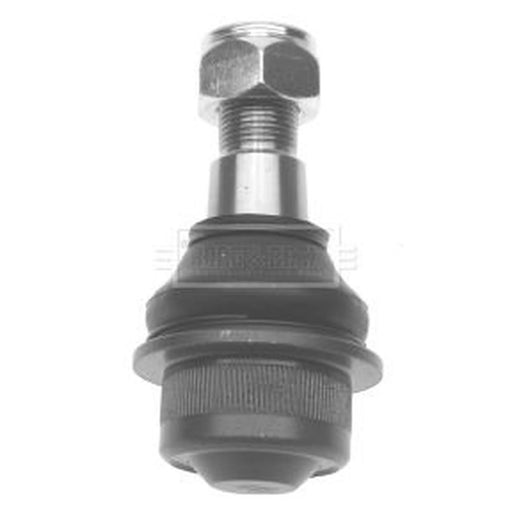 Borg & Beck Ball Joint Lower BBJ5379