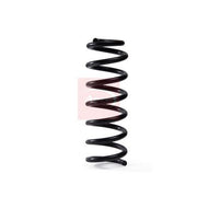 Apec 2 x Suspension Springs fits Mercedes-Benz Sl 2001-2012