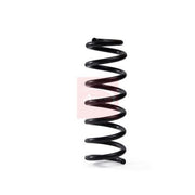Apec Rear Suspension Coil Spring ACS2000