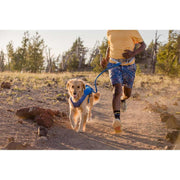 Ruffwear Trail Runner Belt in Blue Pool (Small / Medium) Ruffwear - Bars 4 Cars