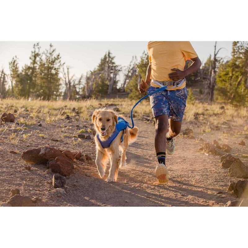 Ruffwear Trail Runner Belt in Blue Pool (Small / Medium) Ruffwear - Bars 4 Cars