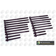 BGA Cylinder Head Bolt Set M11 BK5366