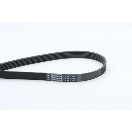 Continental CTAM Multi V-Ribbed Drive Belt fits Alfa Romeo 166 1998-2007 2.4