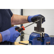Sealey Premier Premier File & Rasp Set 8pc AK582 Sealey Premier - Dynamic Drive