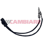 Cambiare Exhaust Gas Temperature Sensor before soot parti VE390502