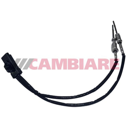 Cambiare Exhaust Gas Temperature Sensor before soot parti VE390502