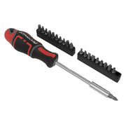 Sealey Premier Premier GripMAX Screwdriver & Bit Set 21pc AK4329 Sealey Premier - Dynamic Drive