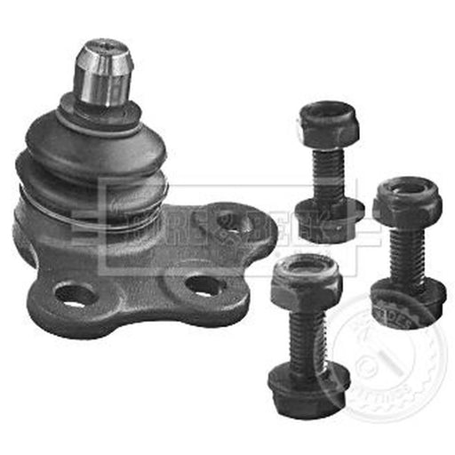 Borg & Beck Ball Joint Lower BBJ5391