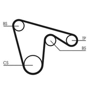 Continental CTAM Timing Belt Cambelt 130 Teeth fits Alfa Romeo 145 1995-2001 2.0