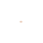 Bosch Sealing Ring Gasket