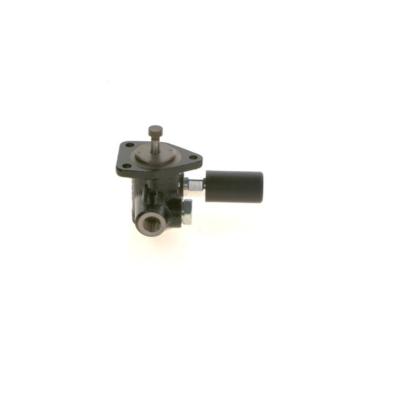 Bosch Fuel Pump Assembly