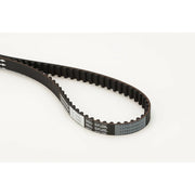 Continental CTAM Timing Belt Cambelt 100 Teeth fits Citroën Berlingo 1996-2008