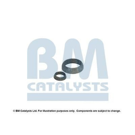 BM Catalysts Fitting Kit FK91617A FK91617A