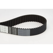 Continental CTAM Timing Belt Cambelt 281 Teeth fits Audi A4 B6 2000-2005 3.0