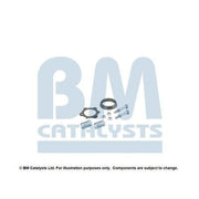 BM Catalysts Fitting Kit FK11146C FK11146C