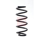 Apec Rear Suspension Coil Spring ACS2249