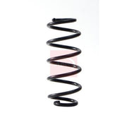Apec 2 x Suspension Springs fits Suzuki Swift III 2006-2015 1.6