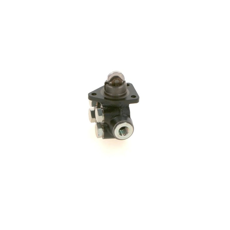 Bosch Fuel Pump Assembly