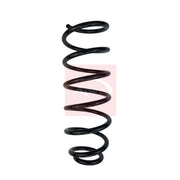 Apec Rear Suspension Coil Spring ACS1590