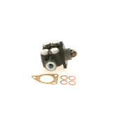 Bosch Fuel Pump Assembly