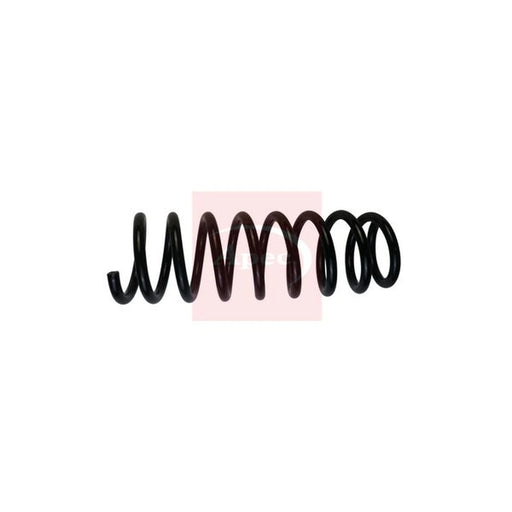 Apec Rear Suspension Coil Spring ACS1755