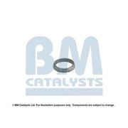 BM Catalysts Fitting Kit FK80159A FK80159A