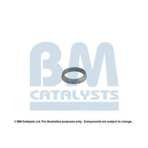BM Catalysts Fitting Kit FK80159A FK80159A