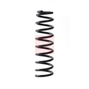 Apec Rear Suspension Coil Spring ACS2283