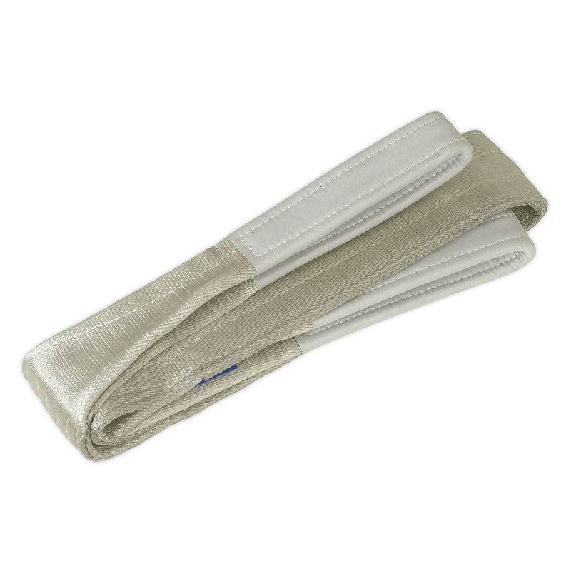 Sealey Load Sling 4Tonne Capacity 5M Sealey - Dynamic Drive
