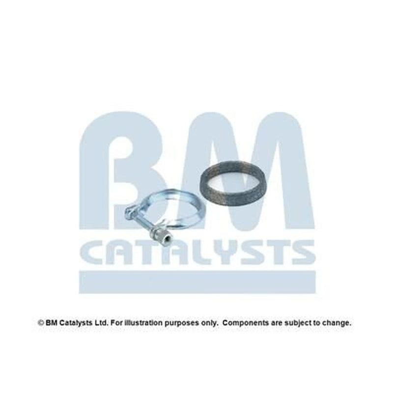 BM Catalysts Fitting Kit FK91309A FK91309A