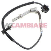 Cambiare Exhaust Gas Temperature Sensor VE390073